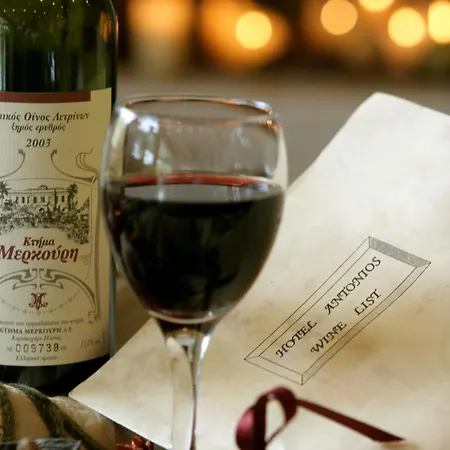 Hotel Antonios Olympie