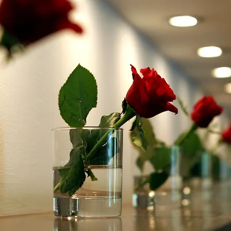 Hotel Antonios Olimpia