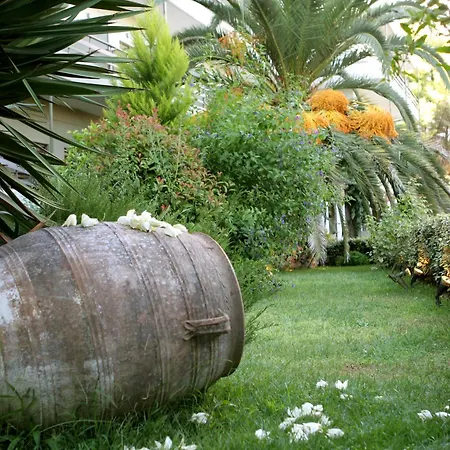 Hotel Antonios Olympie