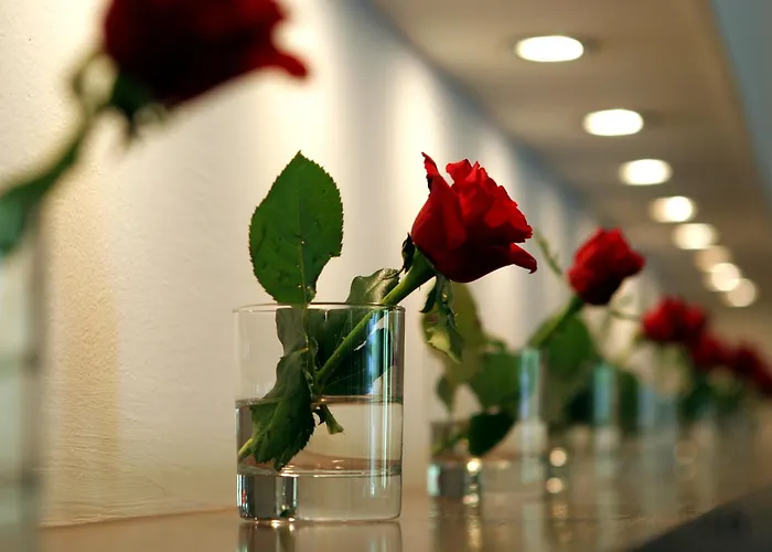 ホテル Antonios オリンピア